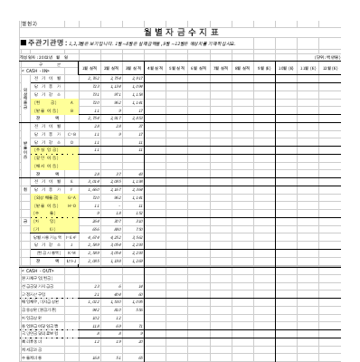 월별자금수지표